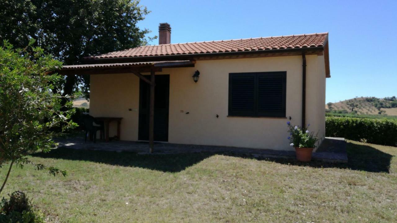 Agriturismo Cavallin Del Papa 까팔비오 외부 사진