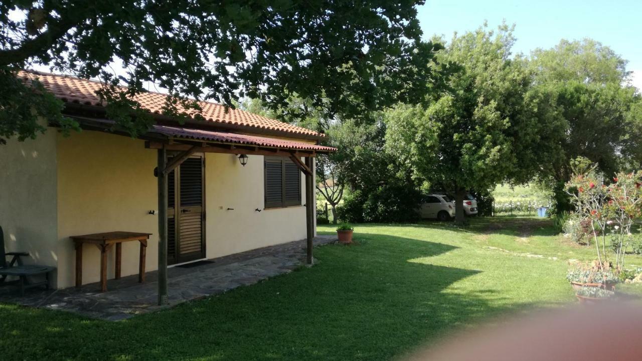 Agriturismo Cavallin Del Papa 까팔비오 외부 사진