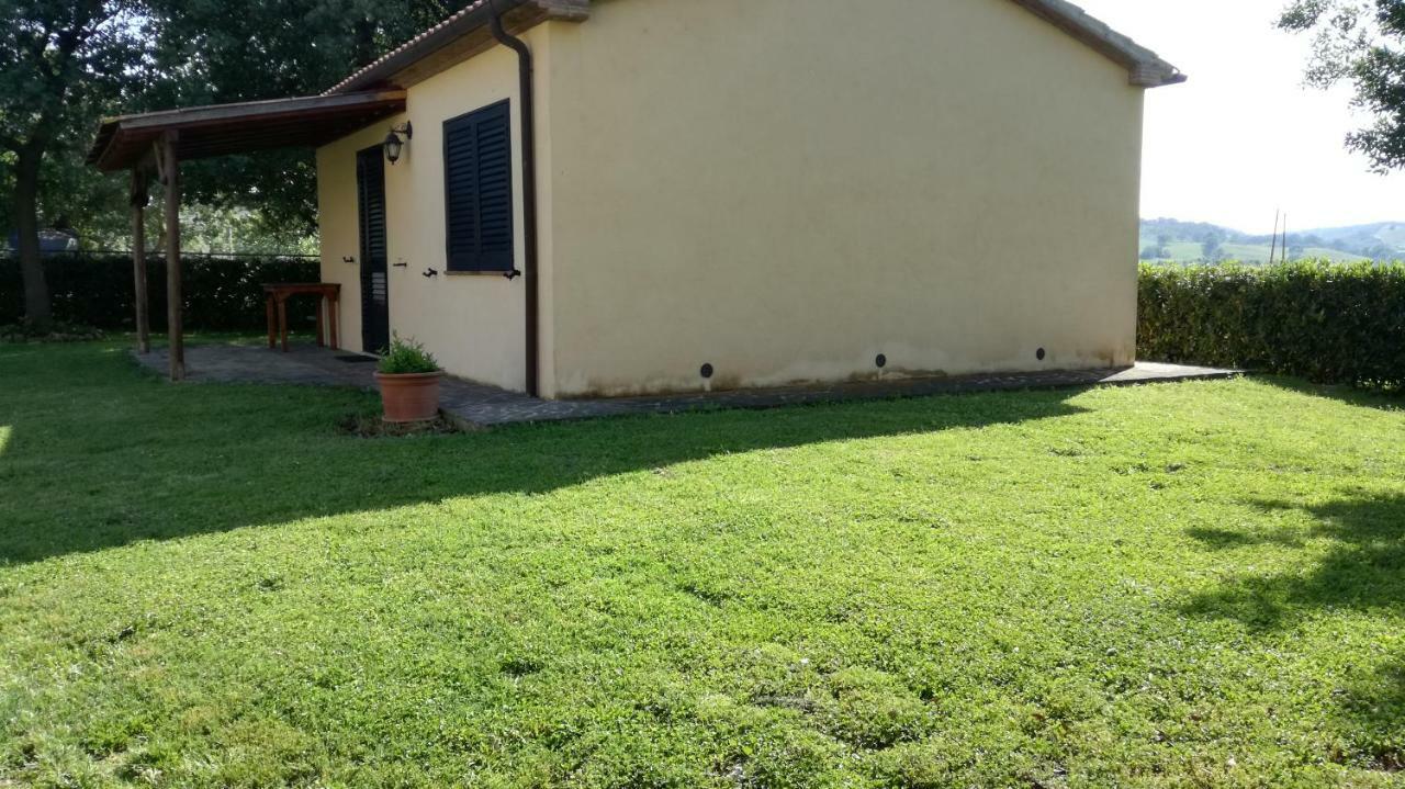 Agriturismo Cavallin Del Papa 까팔비오 외부 사진