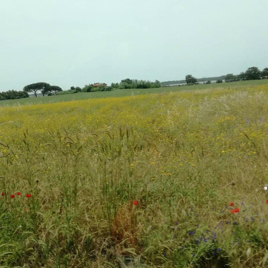 Agriturismo Cavallin Del Papa 까팔비오 외부 사진