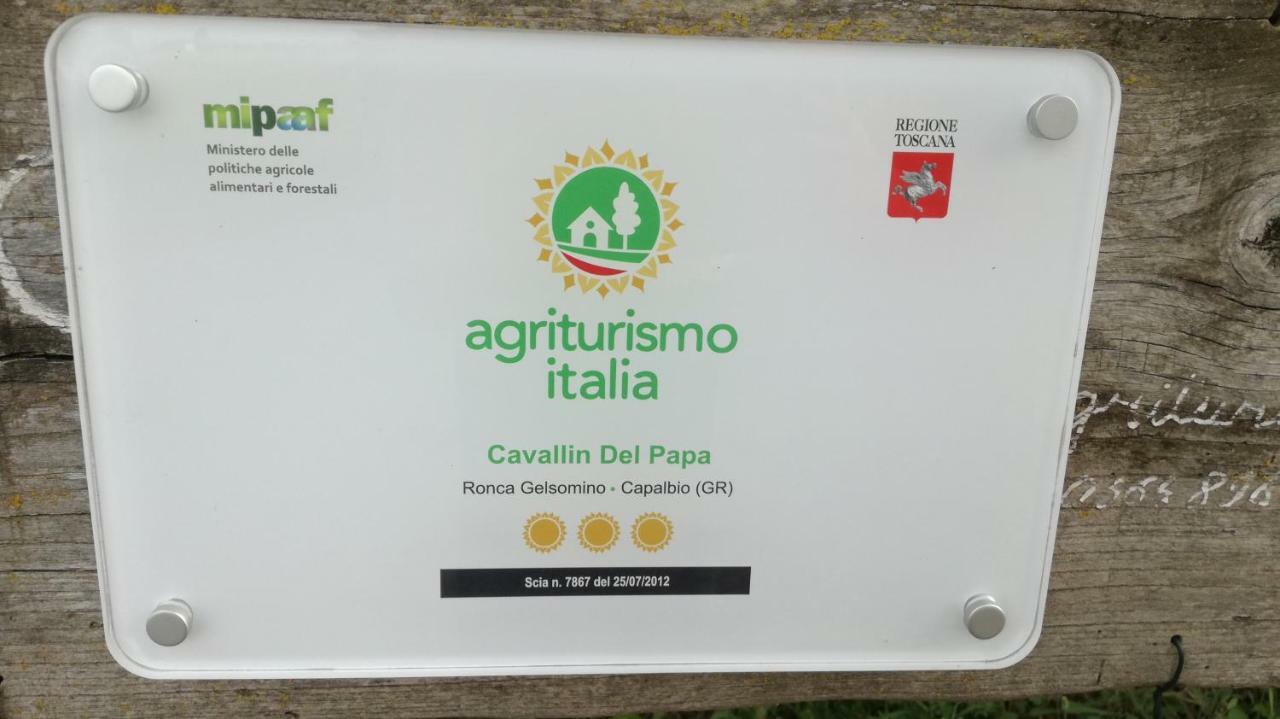 Agriturismo Cavallin Del Papa 까팔비오 외부 사진