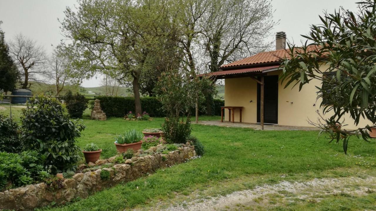 Agriturismo Cavallin Del Papa 까팔비오 외부 사진