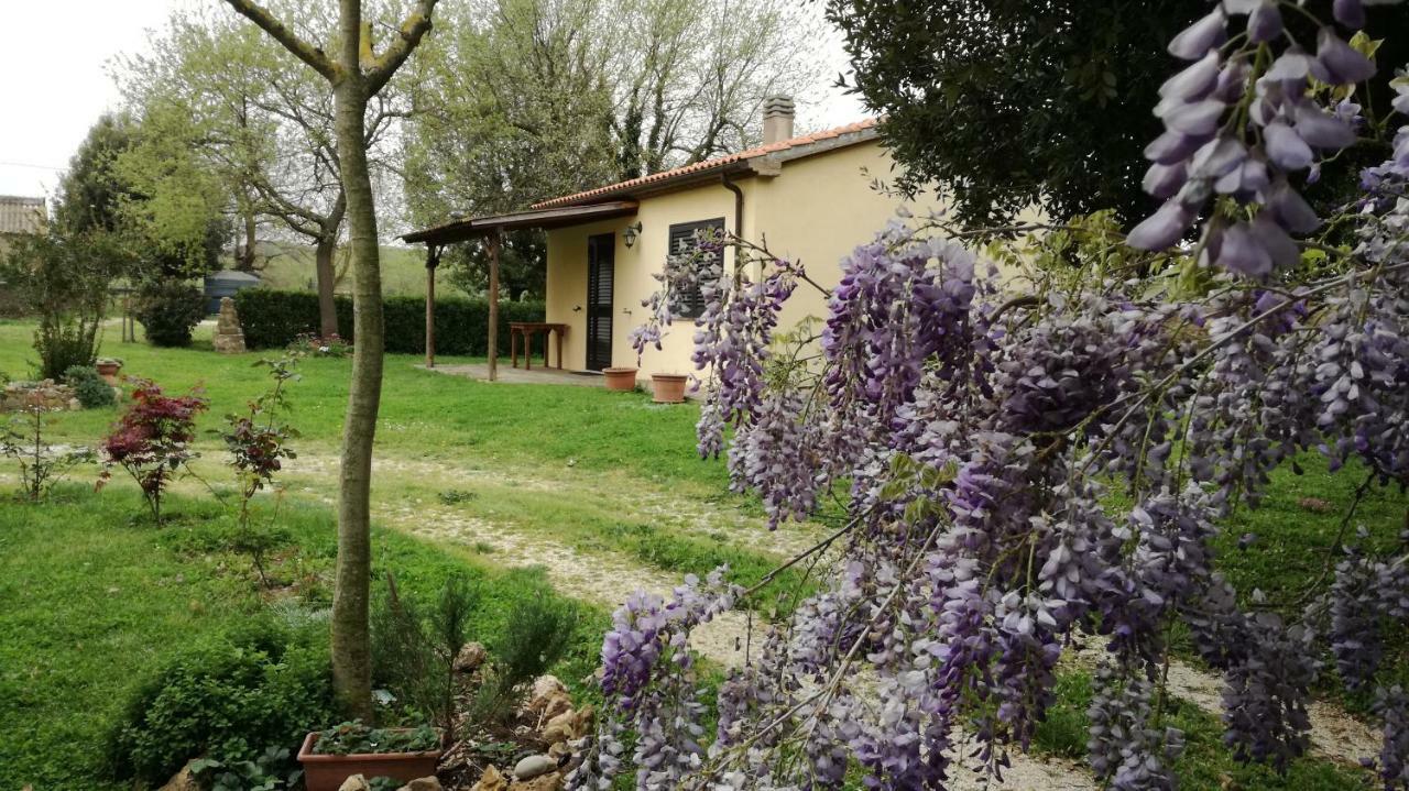 Agriturismo Cavallin Del Papa 까팔비오 외부 사진