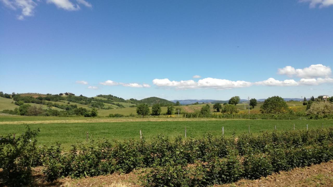 Agriturismo Cavallin Del Papa 까팔비오 외부 사진