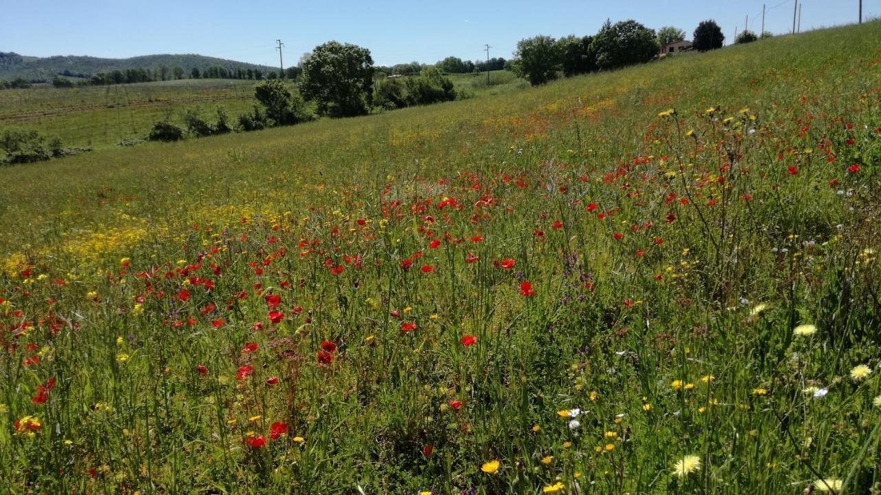 Agriturismo Cavallin Del Papa 까팔비오 외부 사진